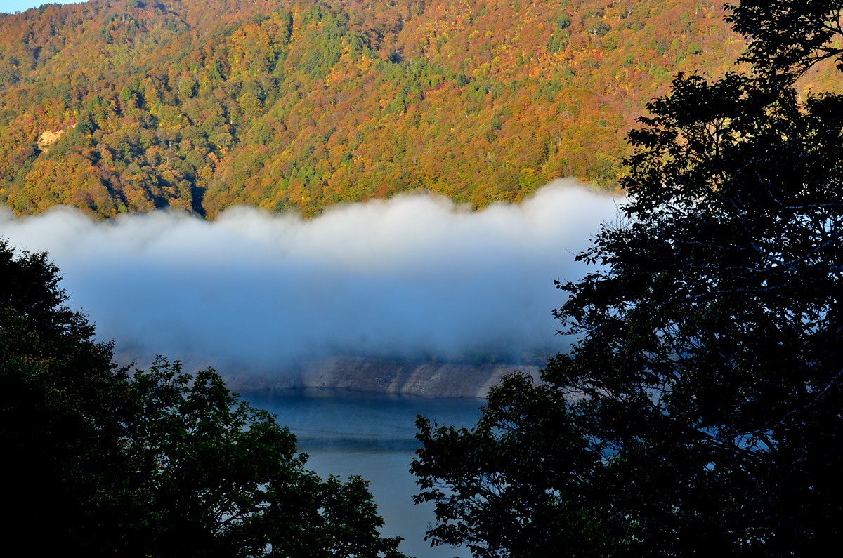 e0223998_2264798.jpg