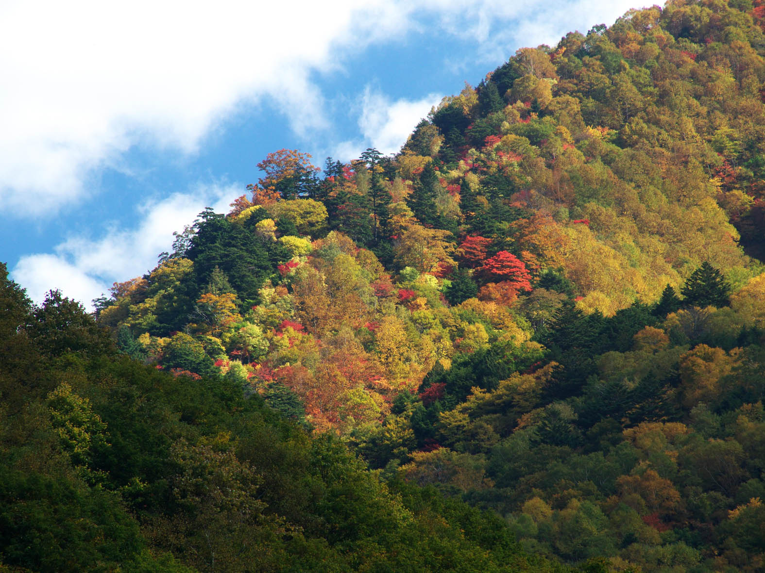 松川渓谷～志賀高原_d0020300_22181126.jpg