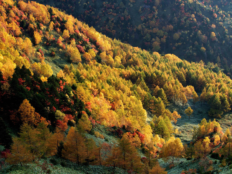 松川渓谷～志賀高原_d0020300_22243015.jpg