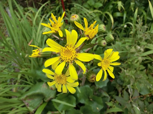 c0156104_2313584.jpg