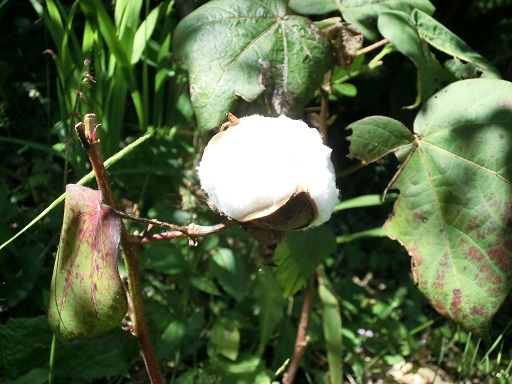 c0156104_2315641.jpg