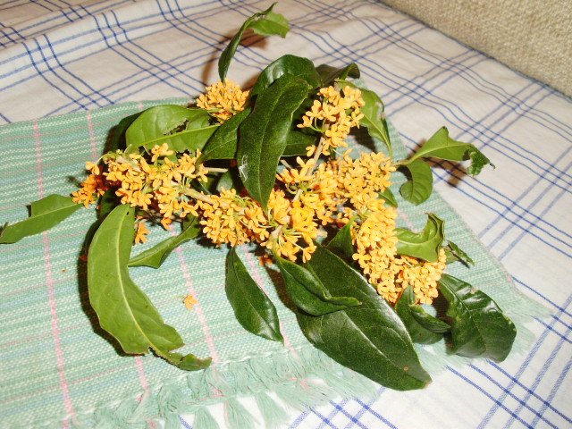 f0153112_21135340.jpg