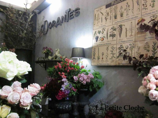 Parisの素敵なフローリスト ODORANTES~オドロント_a0157813_15191958.jpg