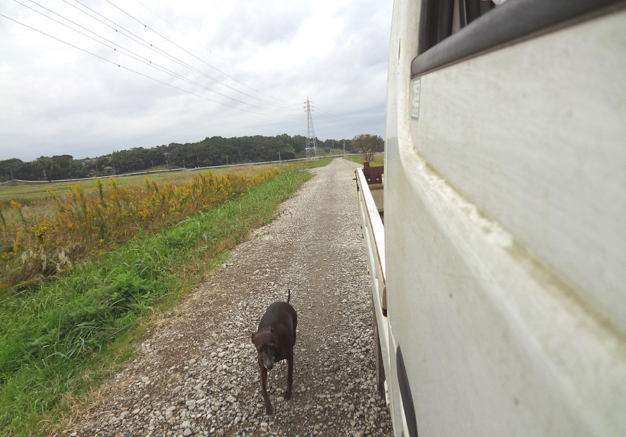 散歩道が通行止め_d0151813_1721396.jpg