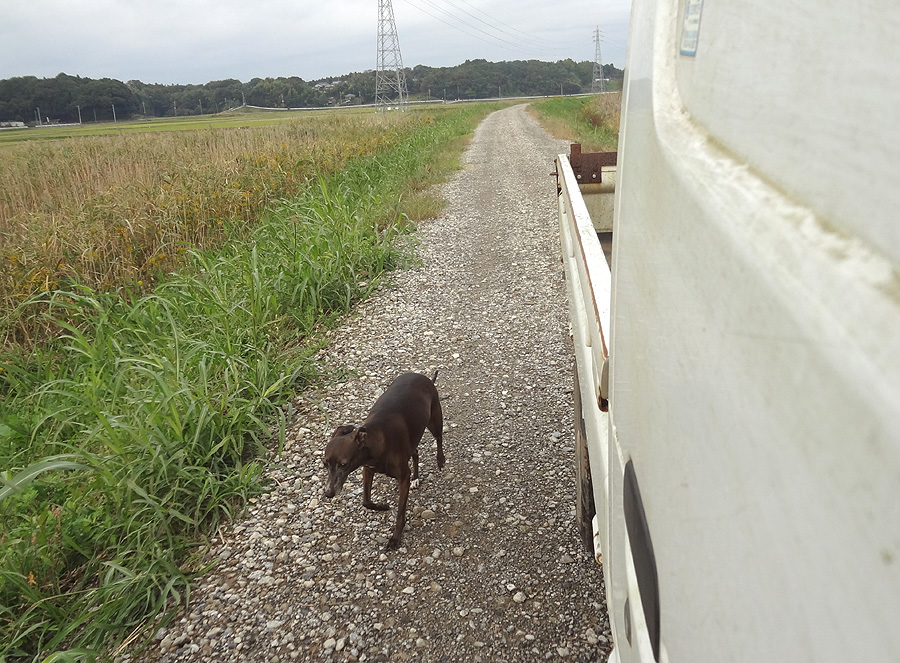 散歩道が通行止め_d0151813_174843.jpg