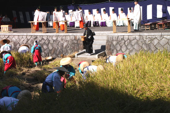 伏見稲荷 抜穂祭_e0048413_21272951.jpg