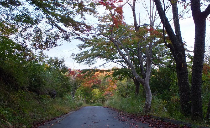 f0182513_23491930.jpg