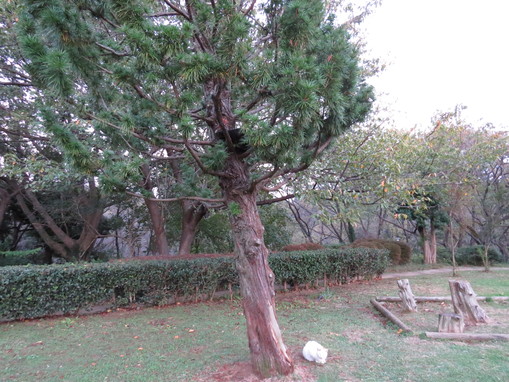b0087914_18112080.jpg