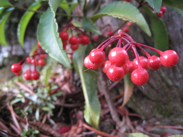 e0233614_9294571.jpg