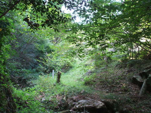 e0287115_16205524.jpg
