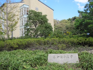 d0083316_914329.jpg