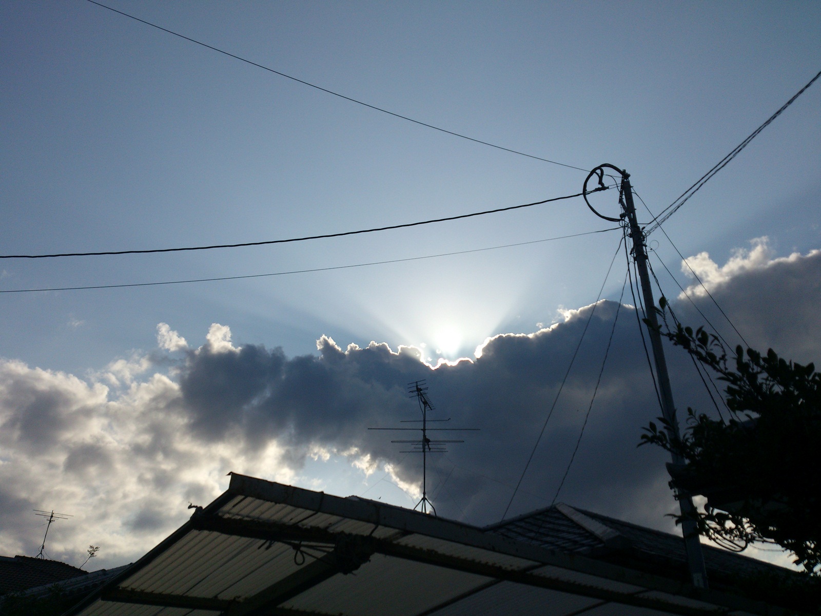 d0197625_2228250.jpg
