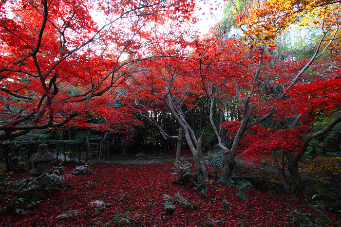 紅葉の嵯峨野巡り －厭離庵－_b0169330_02748.jpg