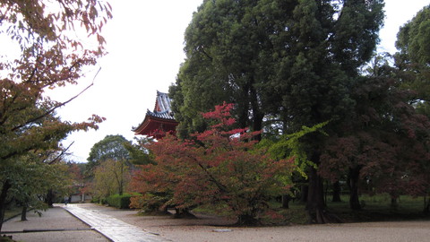 京都観光_b0170834_21562146.jpg
