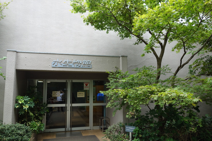 a0287336_1633223.jpg
