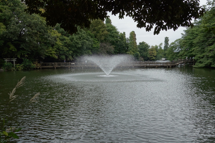 a0287336_16415435.jpg