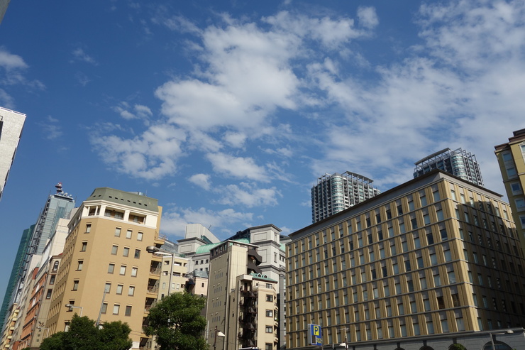 a0287336_1711829.jpg