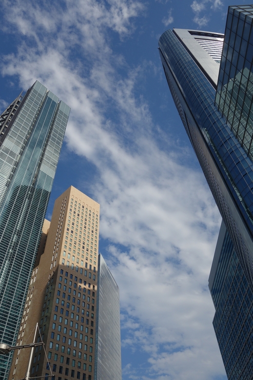a0287336_2014047.jpg
