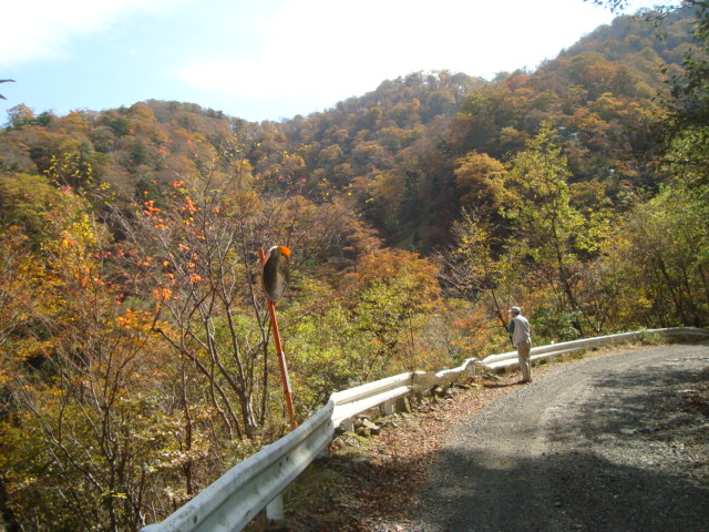 e0060041_2244186.jpg