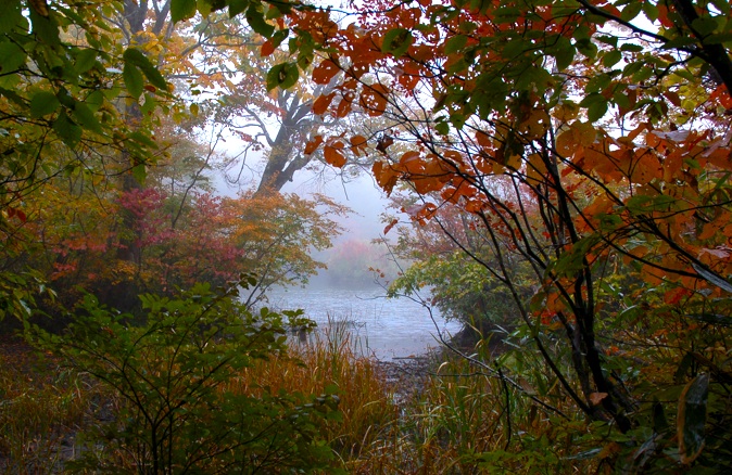 c0002943_16592747.jpg