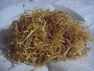 d0063149_23141734.jpg