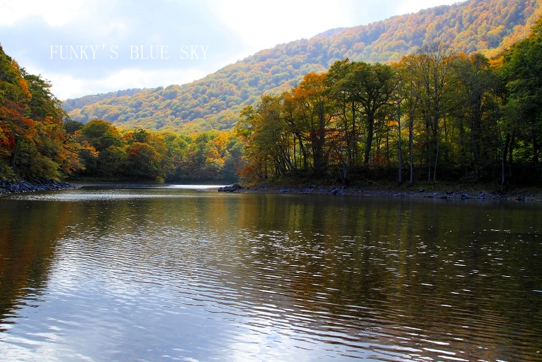 c0145250_11523897.jpg