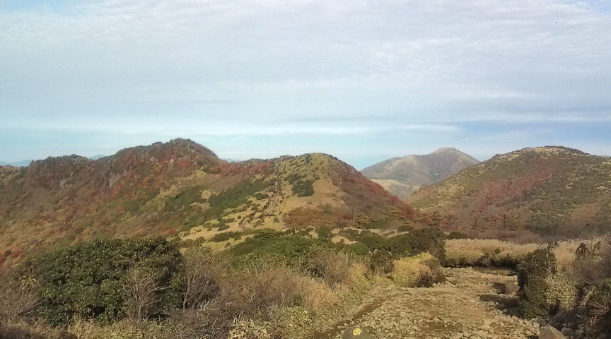 f0144153_8365565.jpg