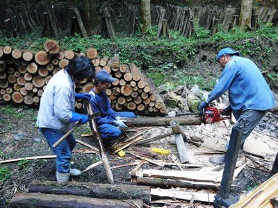 原木しいたけ ボタ起しの準備作業 その2_a0254656_1641249.jpg