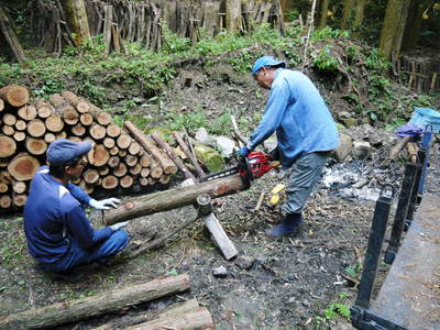 原木しいたけ ボタ起しの準備作業 その2_a0254656_1641673.jpg
