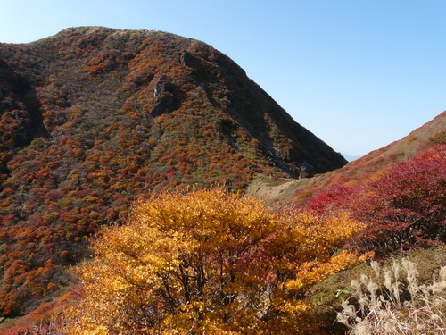 b0276758_1518180.jpg