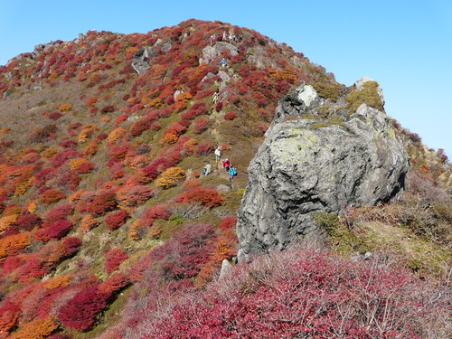 b0276758_151850100.jpg