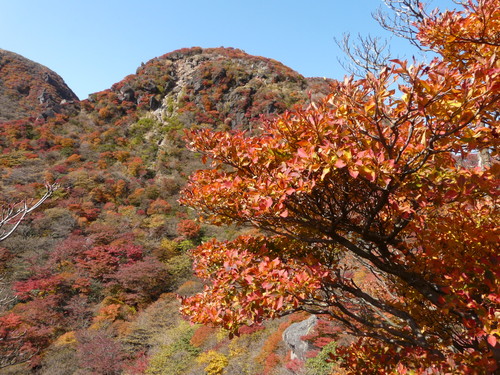 b0276758_152104.jpg