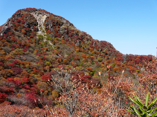 b0276758_1522329.jpg