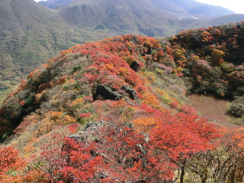 b0276758_15295677.jpg