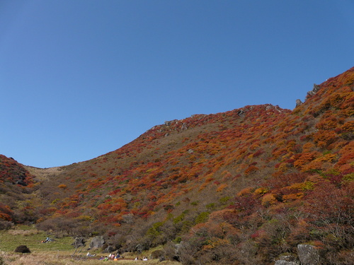 b0276758_1534742.jpg
