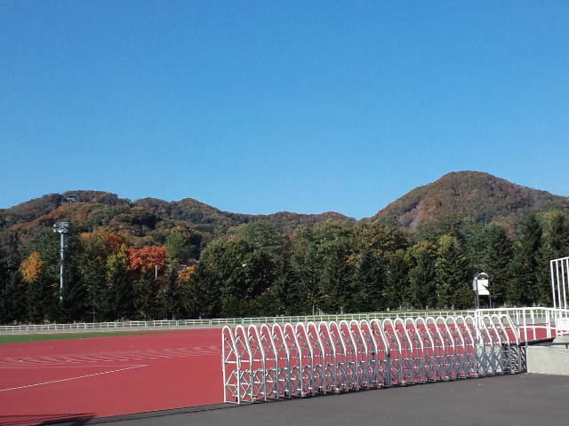 円山紅葉情報・・・_d0098665_188156.jpg