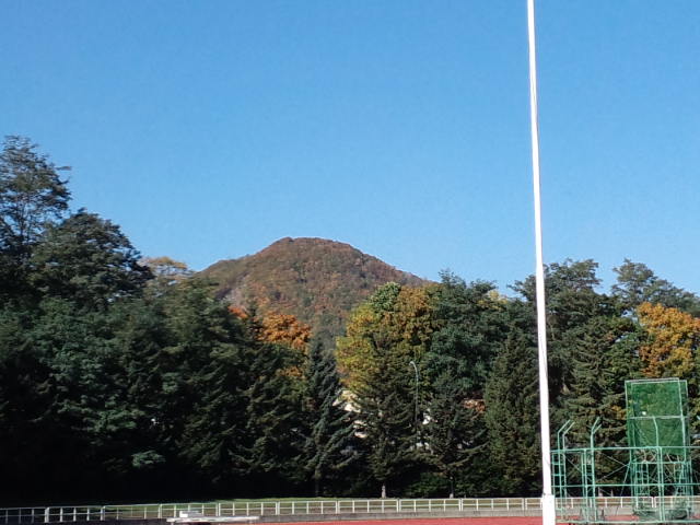 円山紅葉情報・・・_d0098665_1884518.jpg