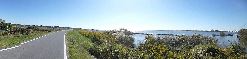 d0105967_21523290.jpg