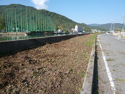 ~実成新開がきれいに~_e0175370_1102034.jpg