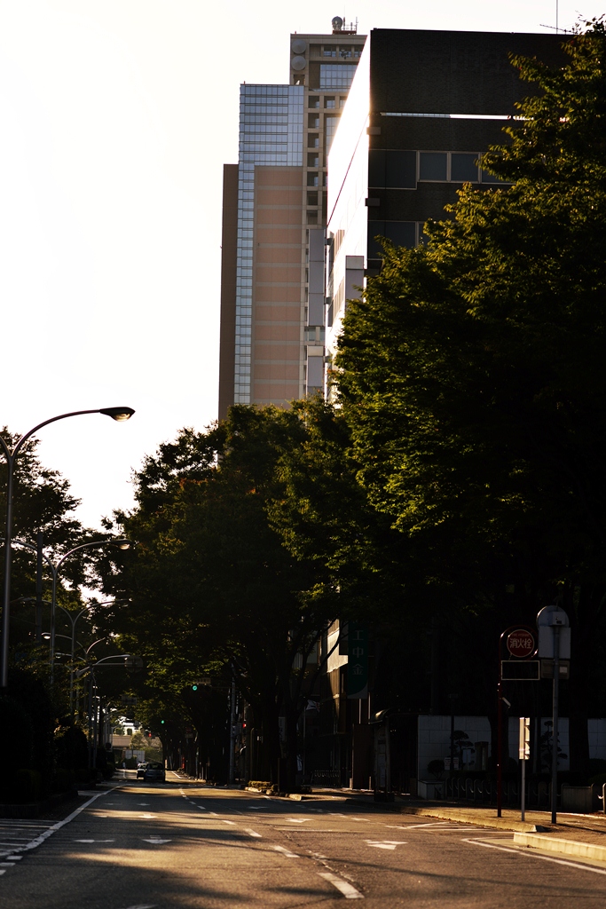 b0260378_12165795.jpg
