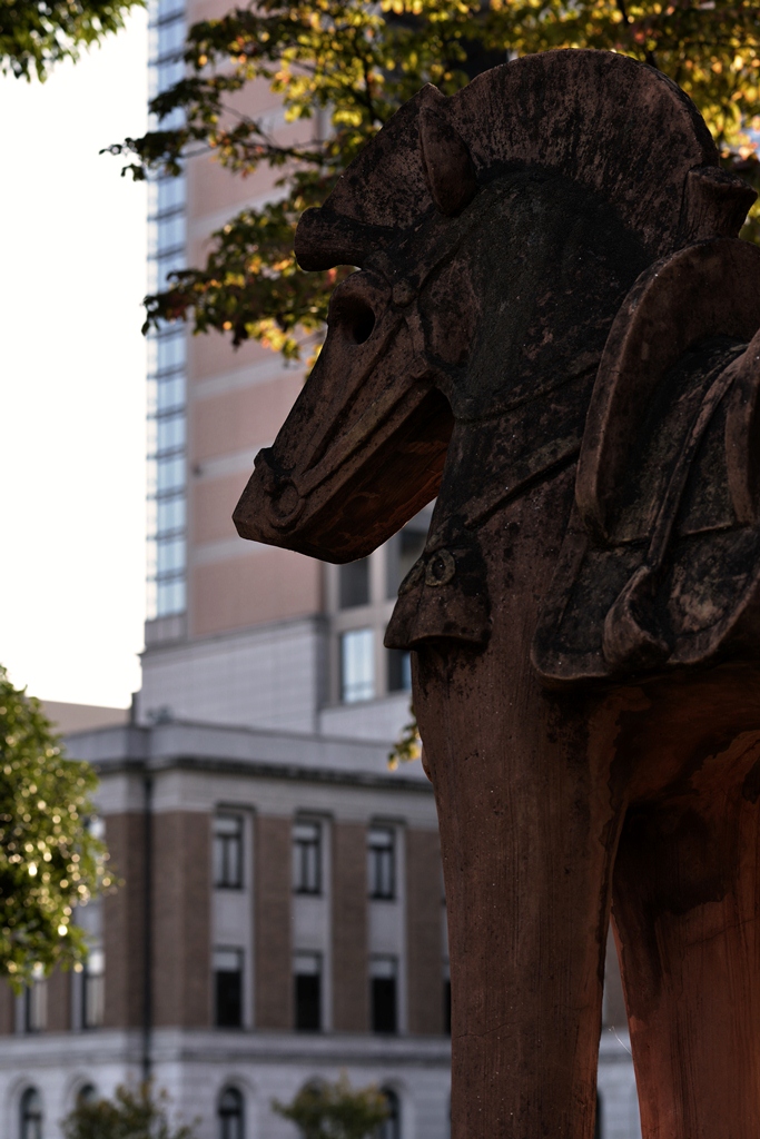 b0260378_3165597.jpg