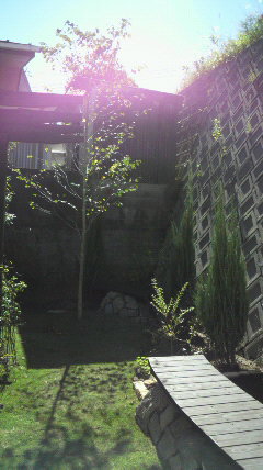 a0168186_913222.jpg