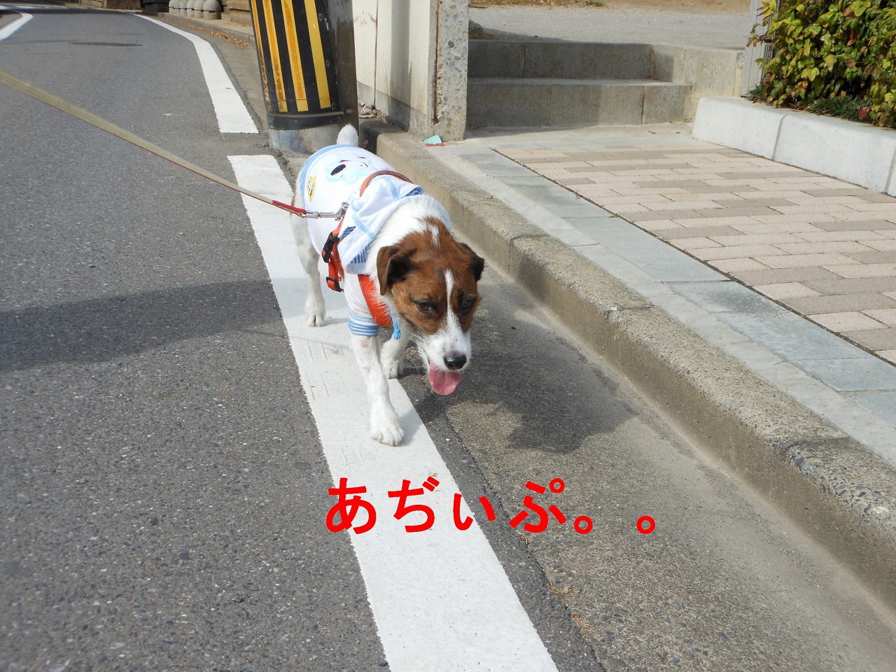 e0121589_2193165.jpg