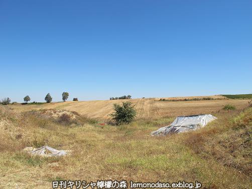 c0010496_19385748.jpg