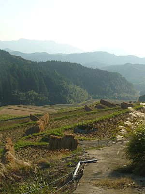 e0198197_1753125.jpg