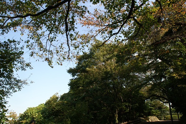 c0246198_11223441.jpg
