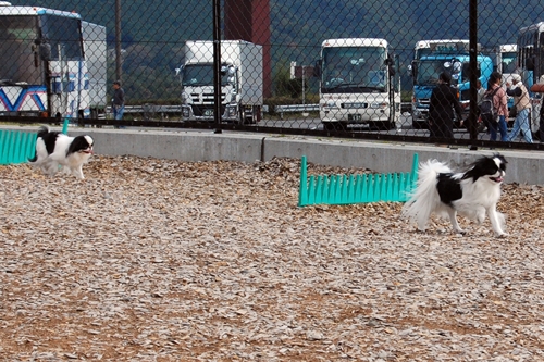 a0155999_23314741.jpg