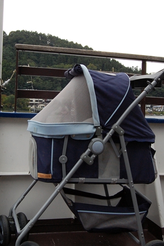 a0155999_23474427.jpg