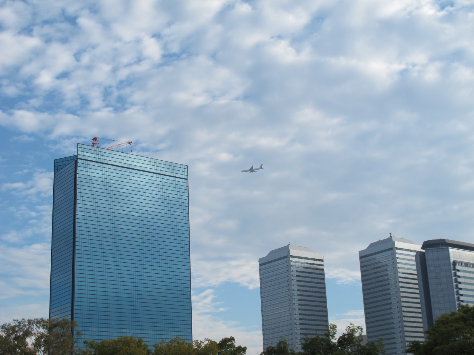 大阪城公園を中秋の朝、散歩する・・・（３３）_c0075701_657134.jpg