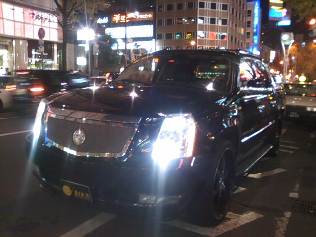 b0127002_208187.jpg